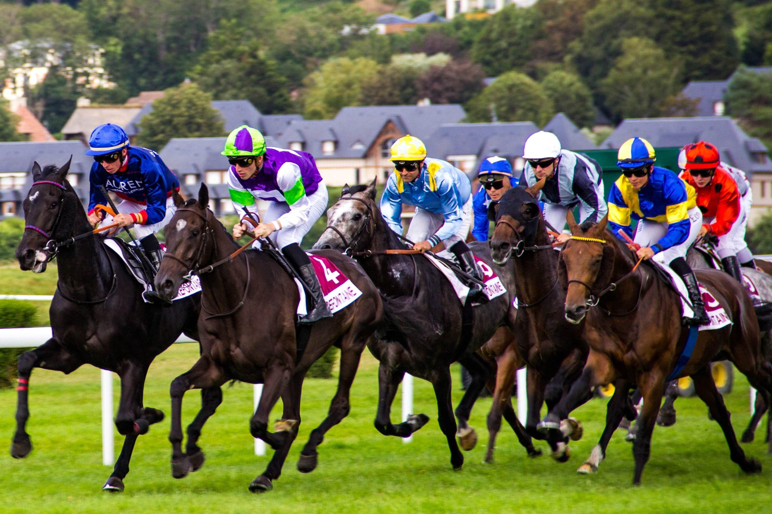 Plan A Day At The Races This Autumn