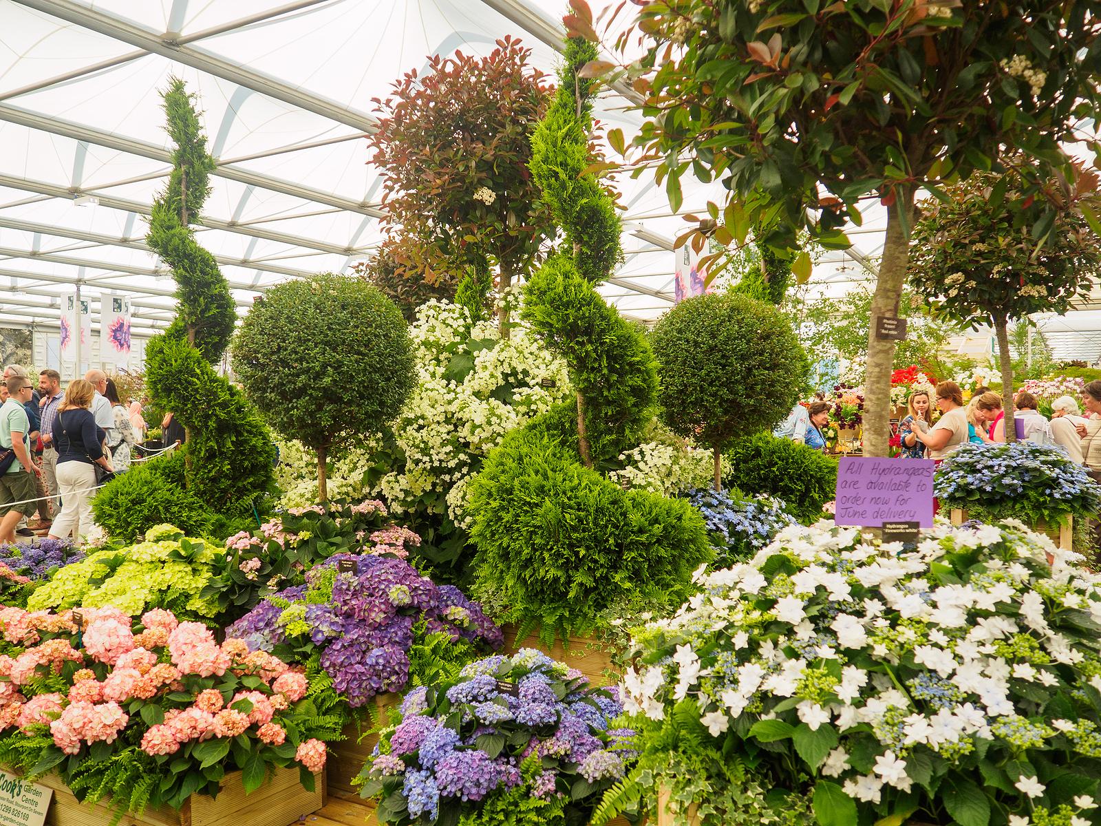 Blooming Lovely: Flower Shows To Visit This Spring & Summer