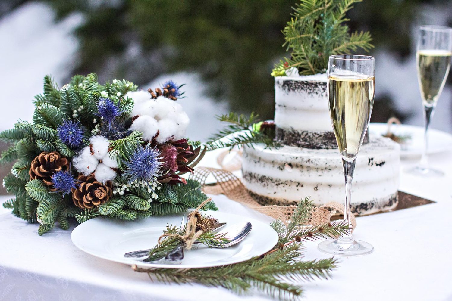 Why Hiring A Coach For Your Winter Wedding Makes Sense!