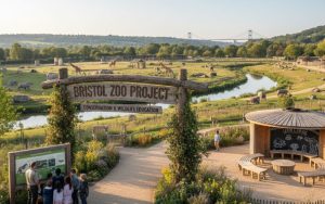 Bristol Zoo Project